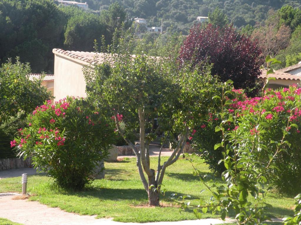 Les Jardins De Santa Giulia Hotel Porto Vecchio Esterno foto